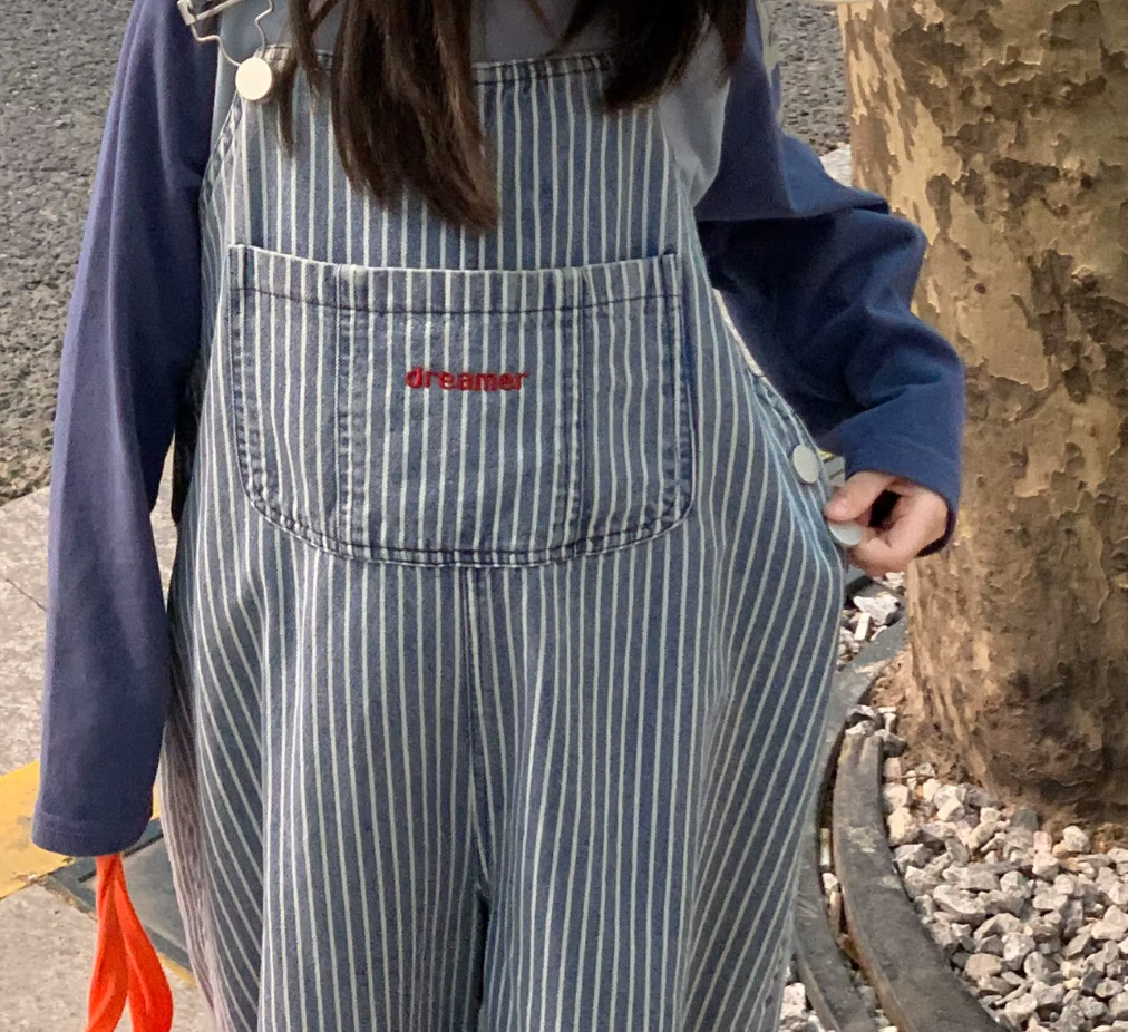 Vintage Inspired Pinstripes Dungarees
